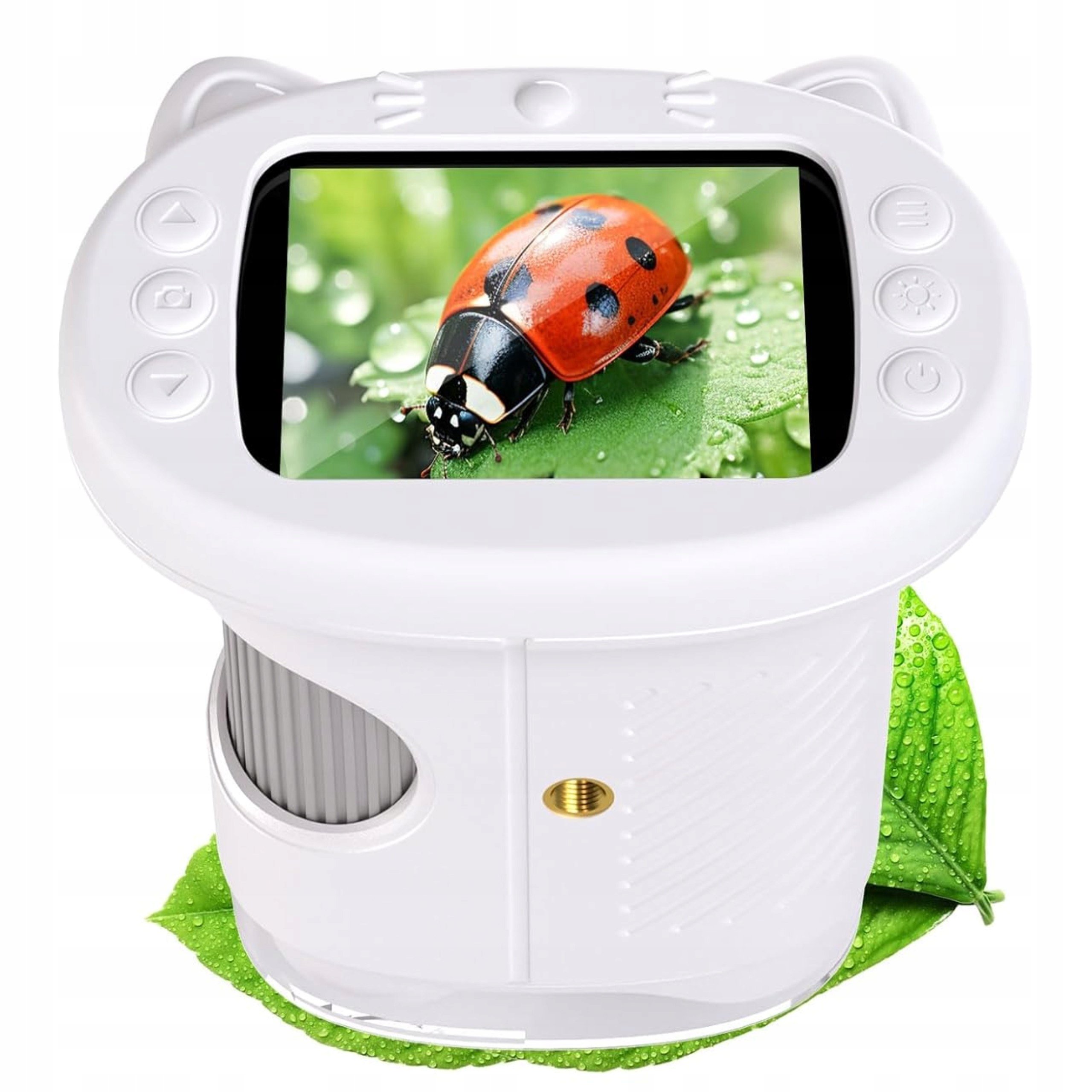 df9a9026d4d9a8dfa2f510a730c22ff5