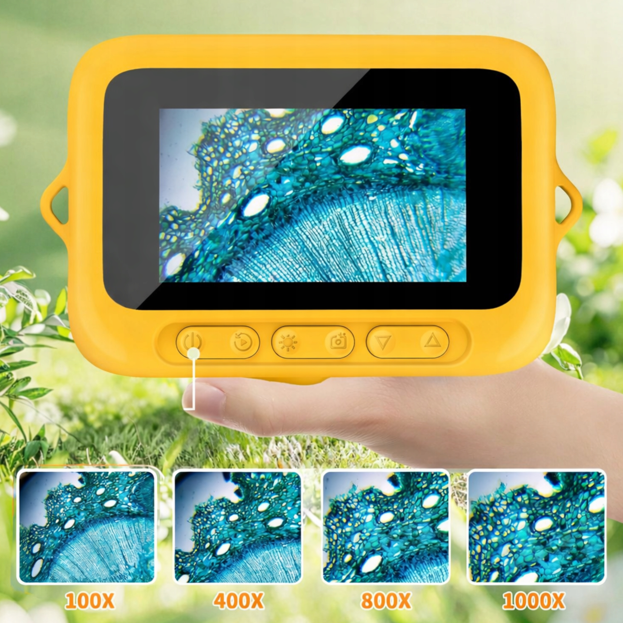 979183e9e9f43f299e30de9dfe0bbcc3