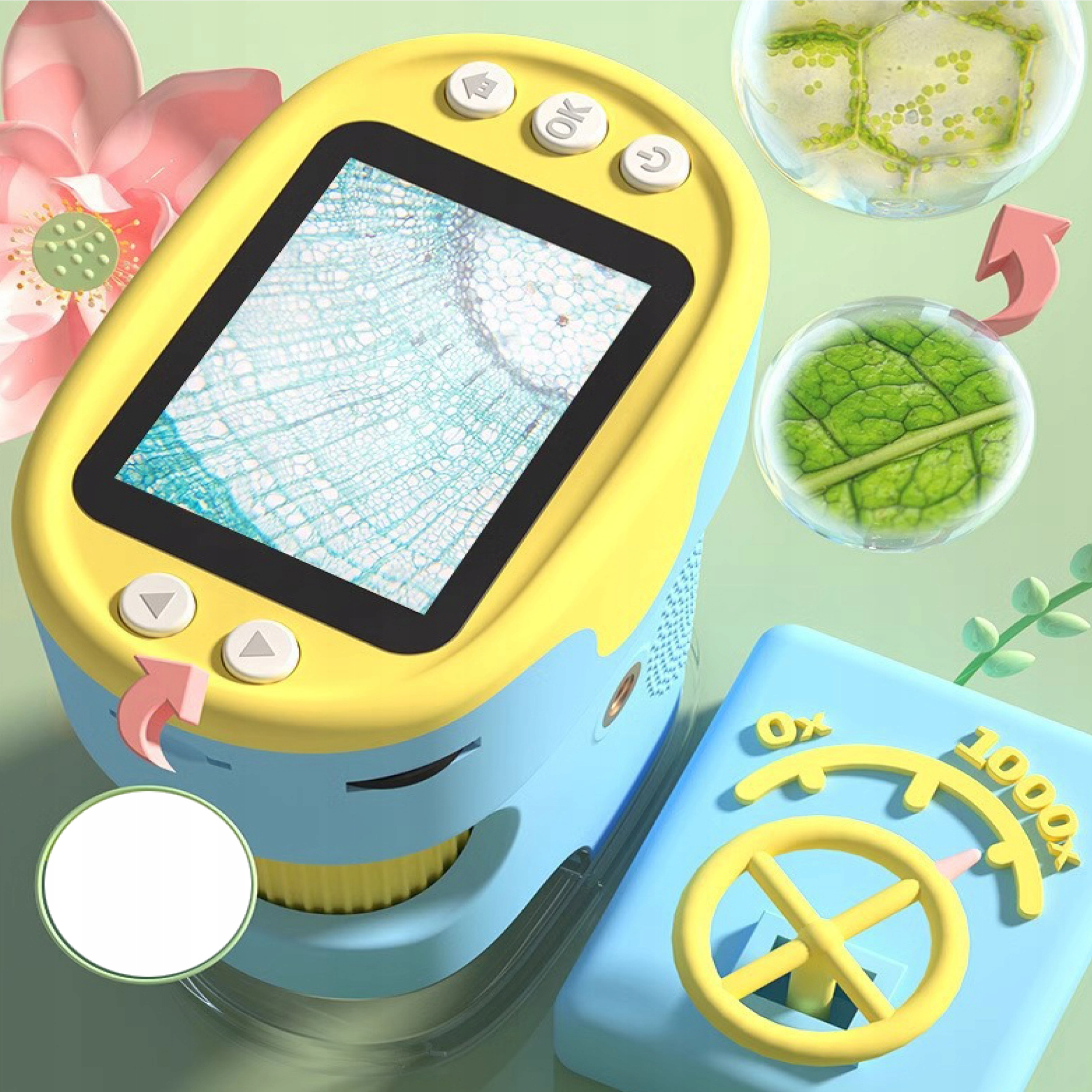 cf4d570a5bdea00a279b0ba9e66c8279