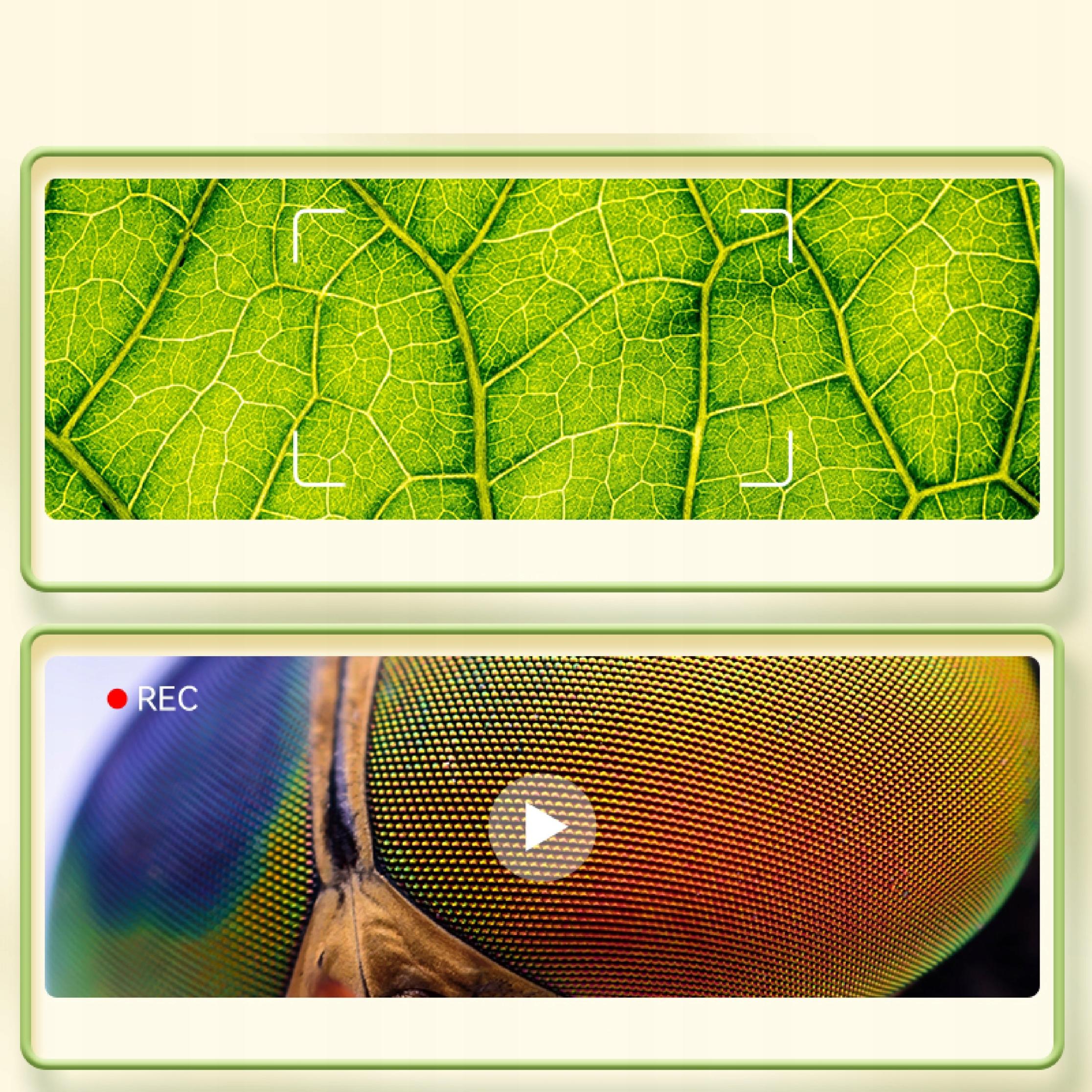 6f2a29aef87ec92d729e4995f1cd1c2e