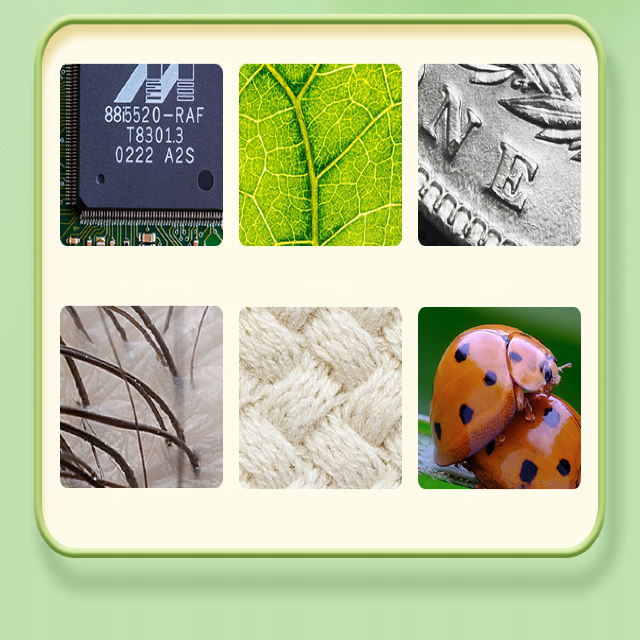 e5e2c4fb31a2a8dbafdc7a4bb81133bf