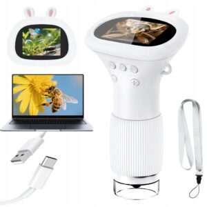 81631cade56fdd19c77988741ad8aed3